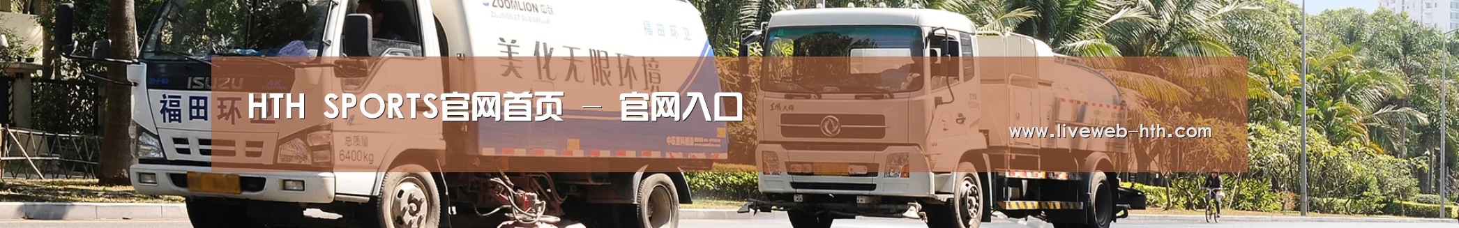 成功案例
