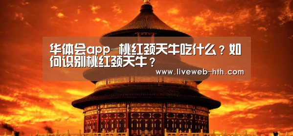 华体会app-桃红颈天牛吃什么？如何识别桃红颈天牛？