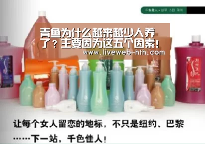 青鱼为什么越来越少人养了?主要因为这五个因素!“华体会”(图2) 华体会官网