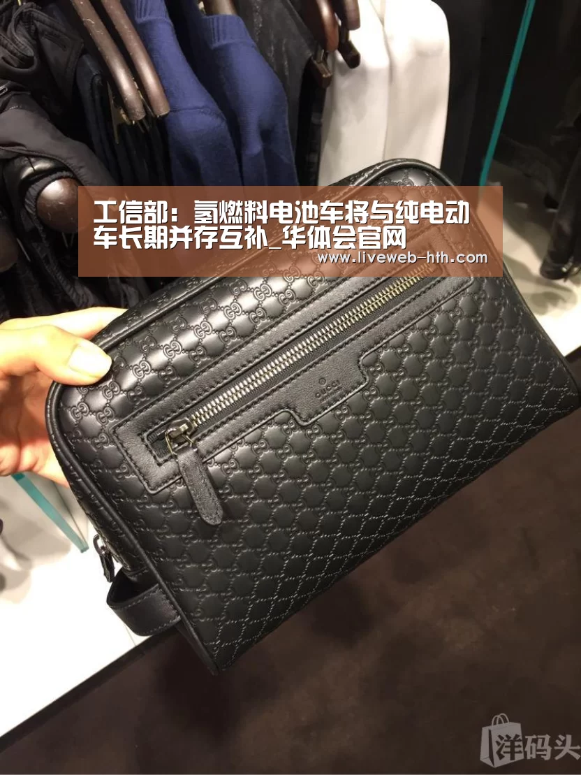 工信部：氢燃料电池车将与纯电动车长期并存互补_华体会官网