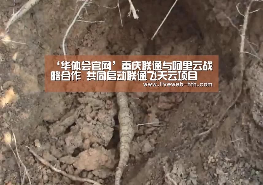 ‘华体会官网’重庆联通与阿里云战略合作 共同启动联通飞天云项目(图3)
