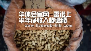 华体会官网-雷诺上半年净收入惨遭腰斩 下调全年营收预期