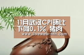 华体会app