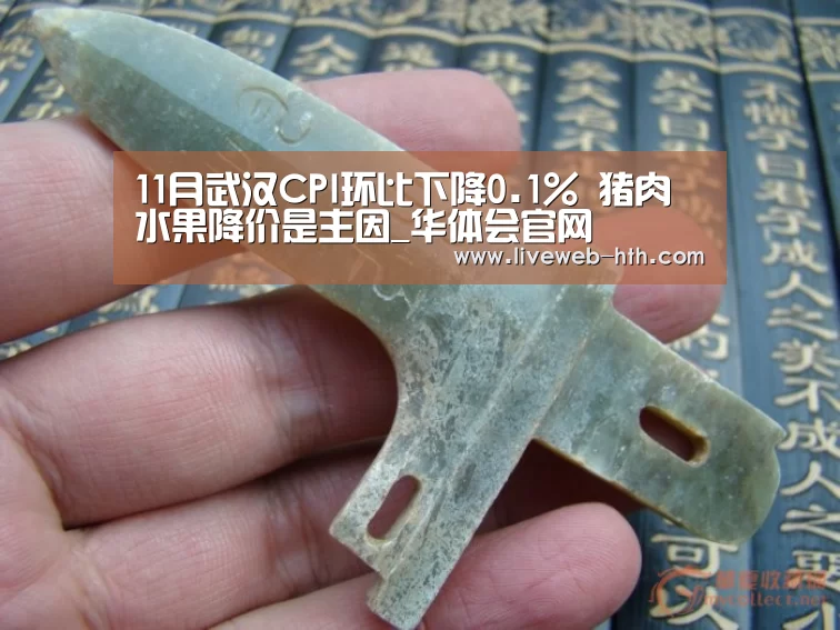 华体会app